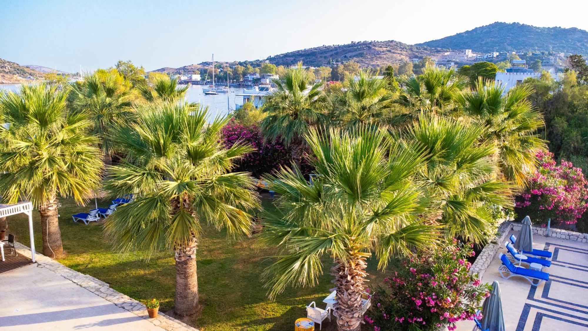 Ladonia Hotels Zemda Guemuesluek Екстер'єр фото